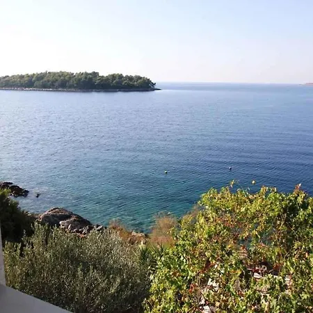 Apartamento In Karbuni/insel Korcula 31383 *